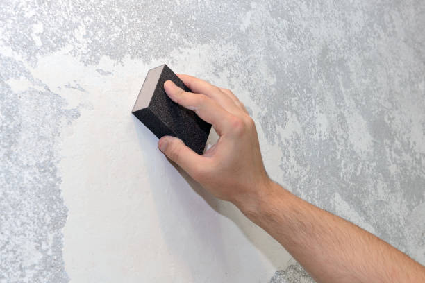 Best Basement Mold Removal  in North Prairie, WI
