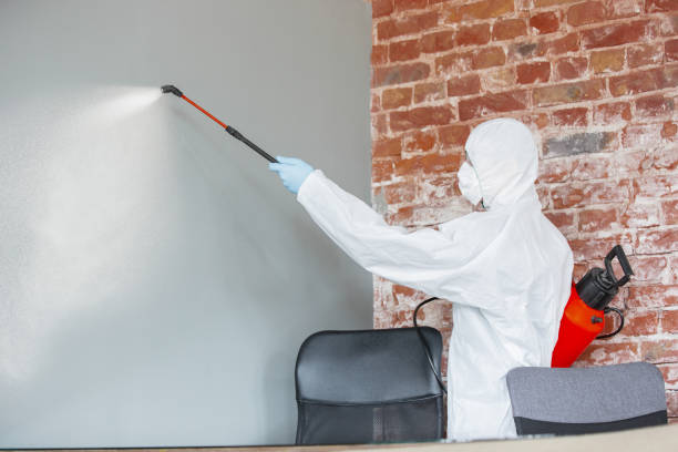 Best Commercial Mold Inspection  in North Prairie, WI